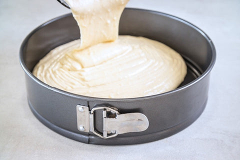 Springform Heavy Base Round Cake Pan 25cm