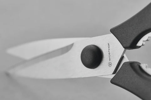 Pull Apart Shears 21cm