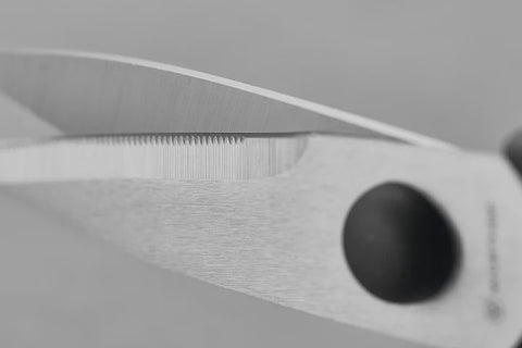 Pull Apart Shears 21cm