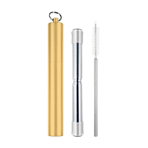 Telescopic Travel Straw With Silicone Tips