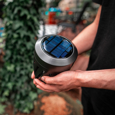 Torch Mosquito Zapper