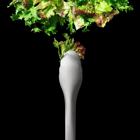 Steel Serving Tongs