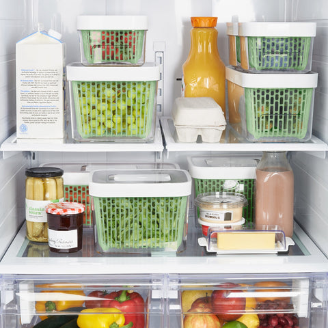 Greensaver Produce Keeper - 1.5L