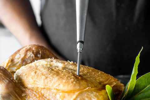 Professional Baster