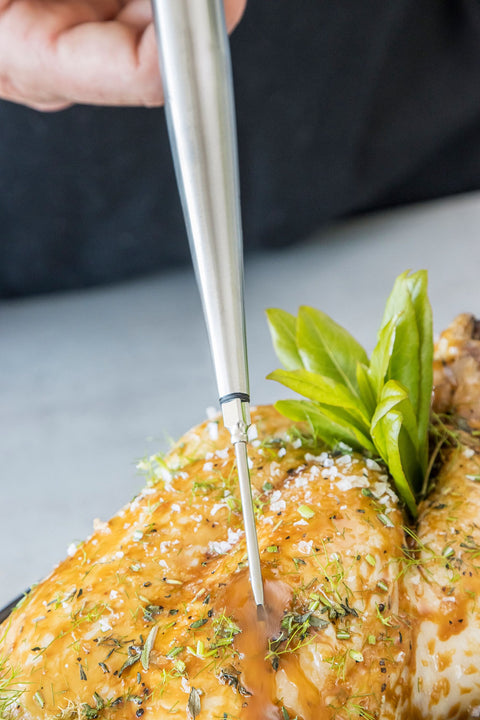 Professional Baster