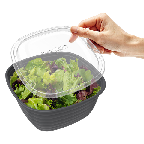 Prep 1 Compartment Bowl 10 Pack - Graphite
