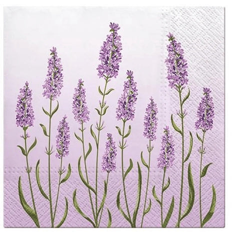 Lunch Napkin