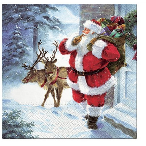 Lunch Napkins - 33cm